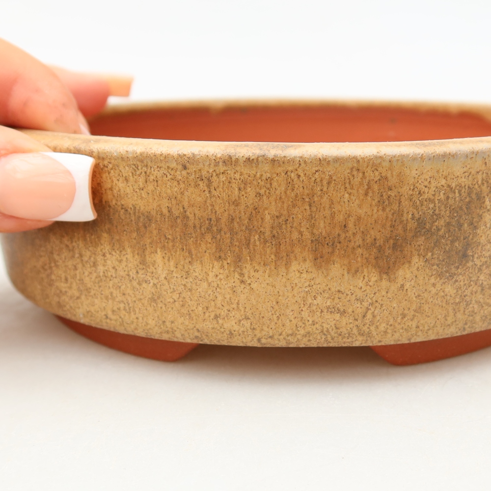 Ciotola per bonsai in ceramica 15 x 15 x 4,5 cm, marrone
