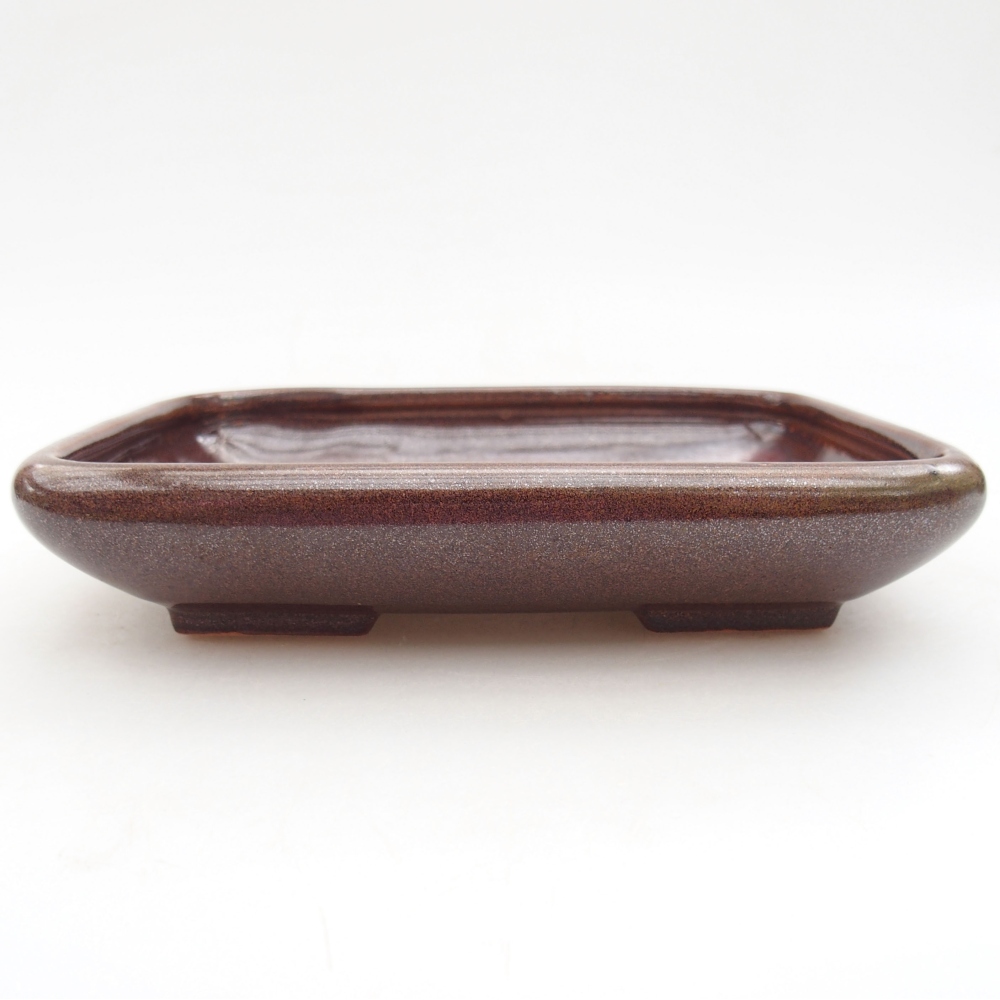 Ciotola bonsai in ceramica 17 x 14 x 3,5 cm, marrone