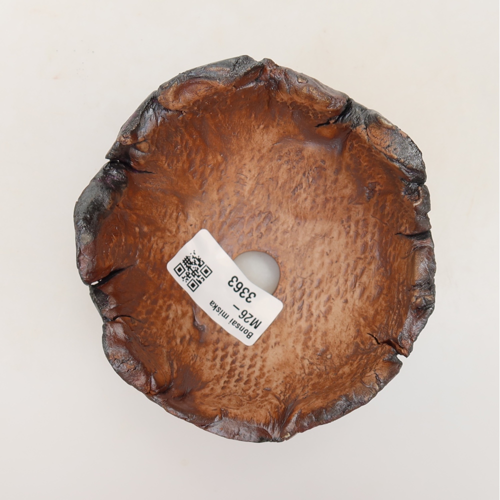 Guscio in ceramica 10,5 x 10,5 x 7 cm, colore marrone