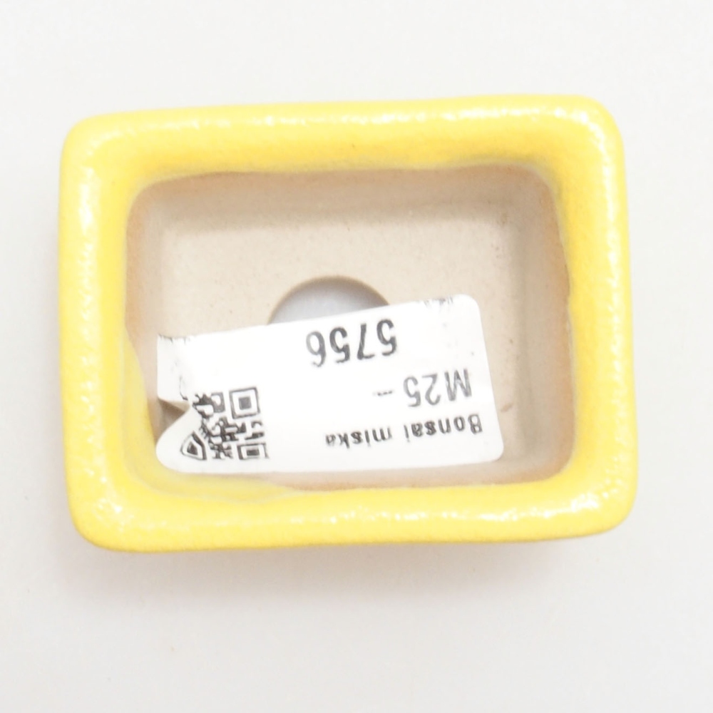 Ciotola per bonsai in ceramica 5,5 x 4 x 2,5 cm, giallo