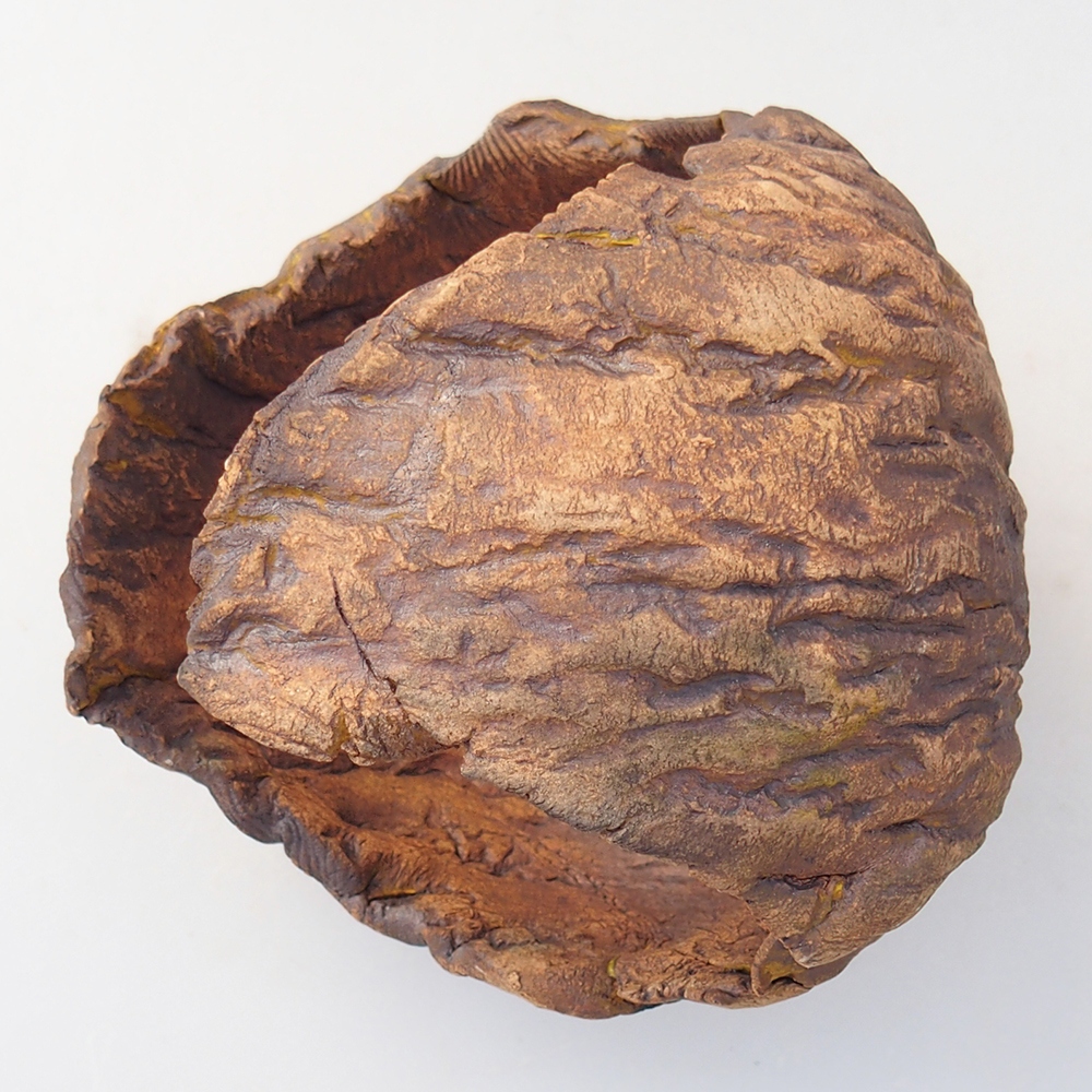 Conchiglia in ceramica 10 x 9,5 x 10 cm , colore marrone