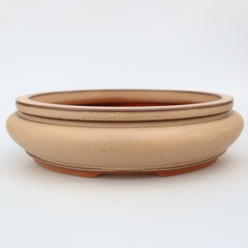 Ciotola in ceramica  23 x 23 x 7 cm, colore beige