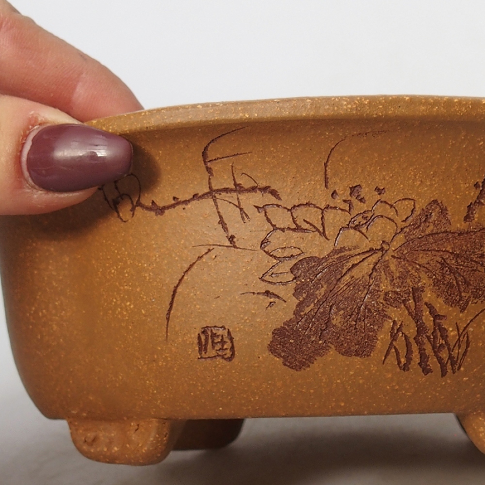 Ciotola per bonsai in ceramica 15,5 x 13 x 6 cm, colore ocra