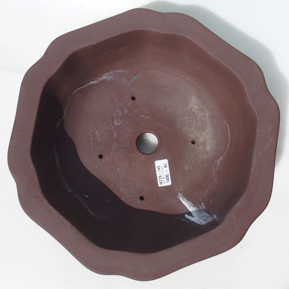 Ciotola bonsai 39 x 39 x 11,5 cm betulla marrone