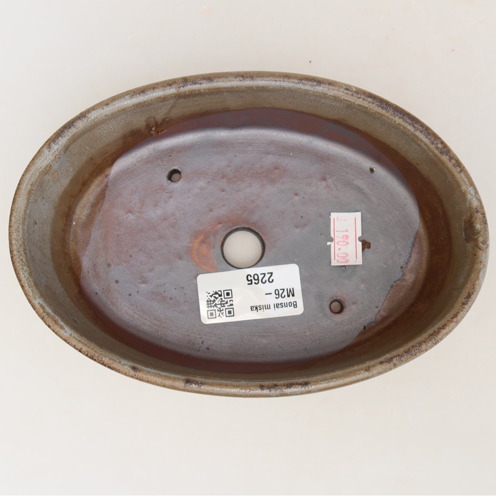 Ciotola per bonsai in ceramica 16,5 x 11,5 x 4,5 cm, marrone