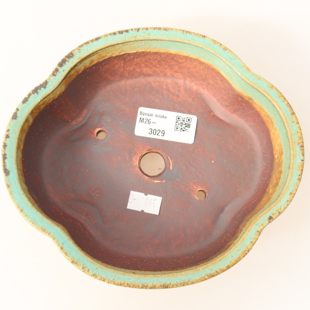 Ciotola per bonsai in ceramica 17 x 15,5 x 5,5 cm, verde