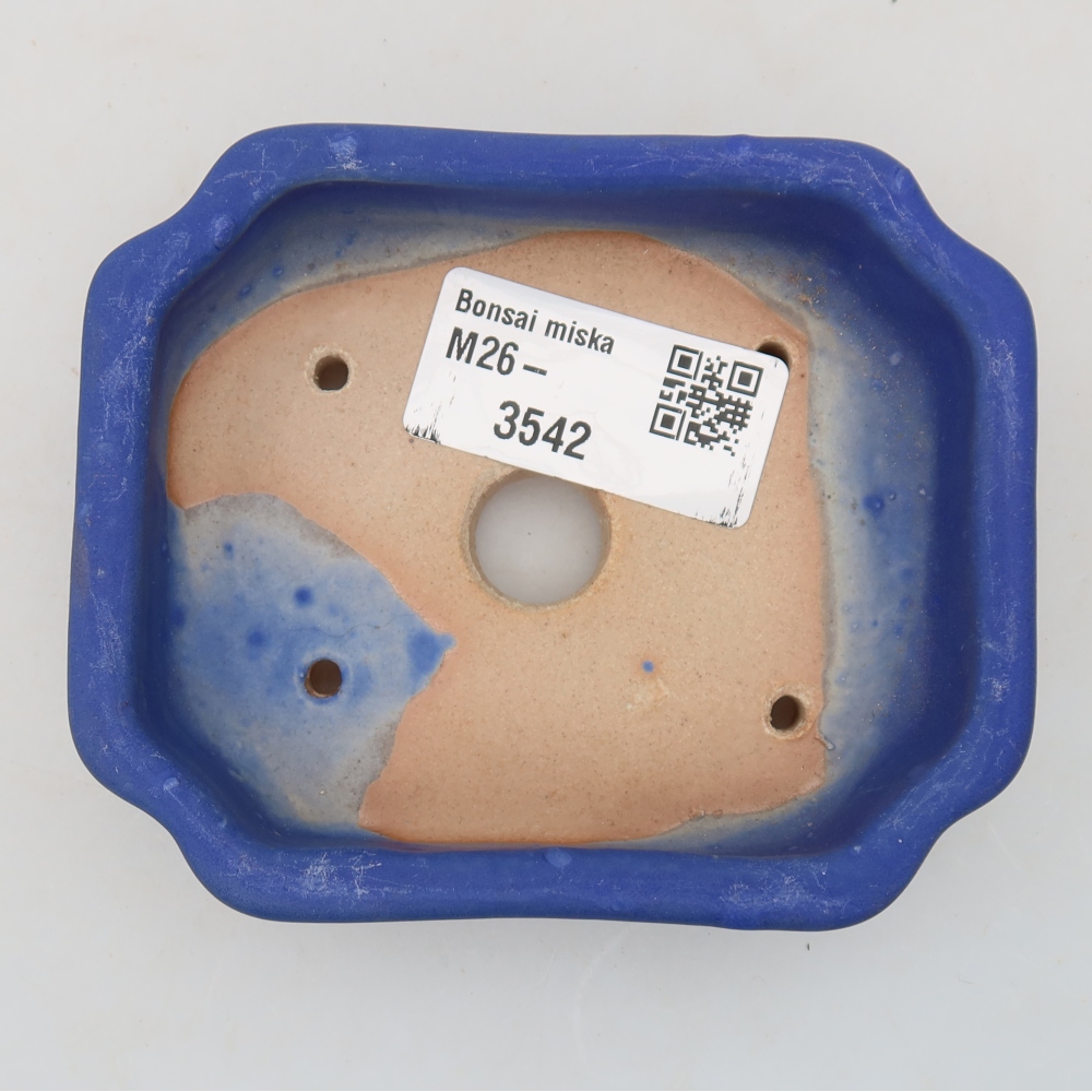 Ciotola per bonsai in ceramica 10 x 8 x 2,5 cm, colore blu
