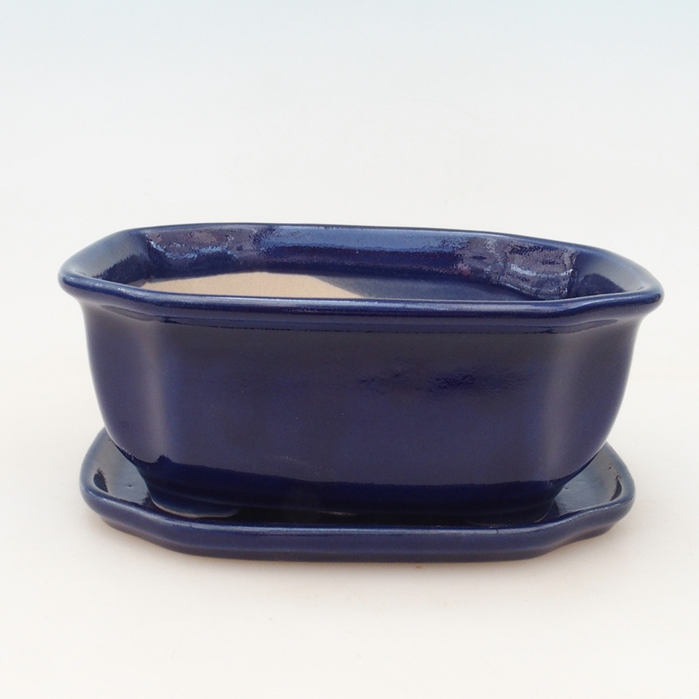 Ciotola bonsai + piattino H31 - blu