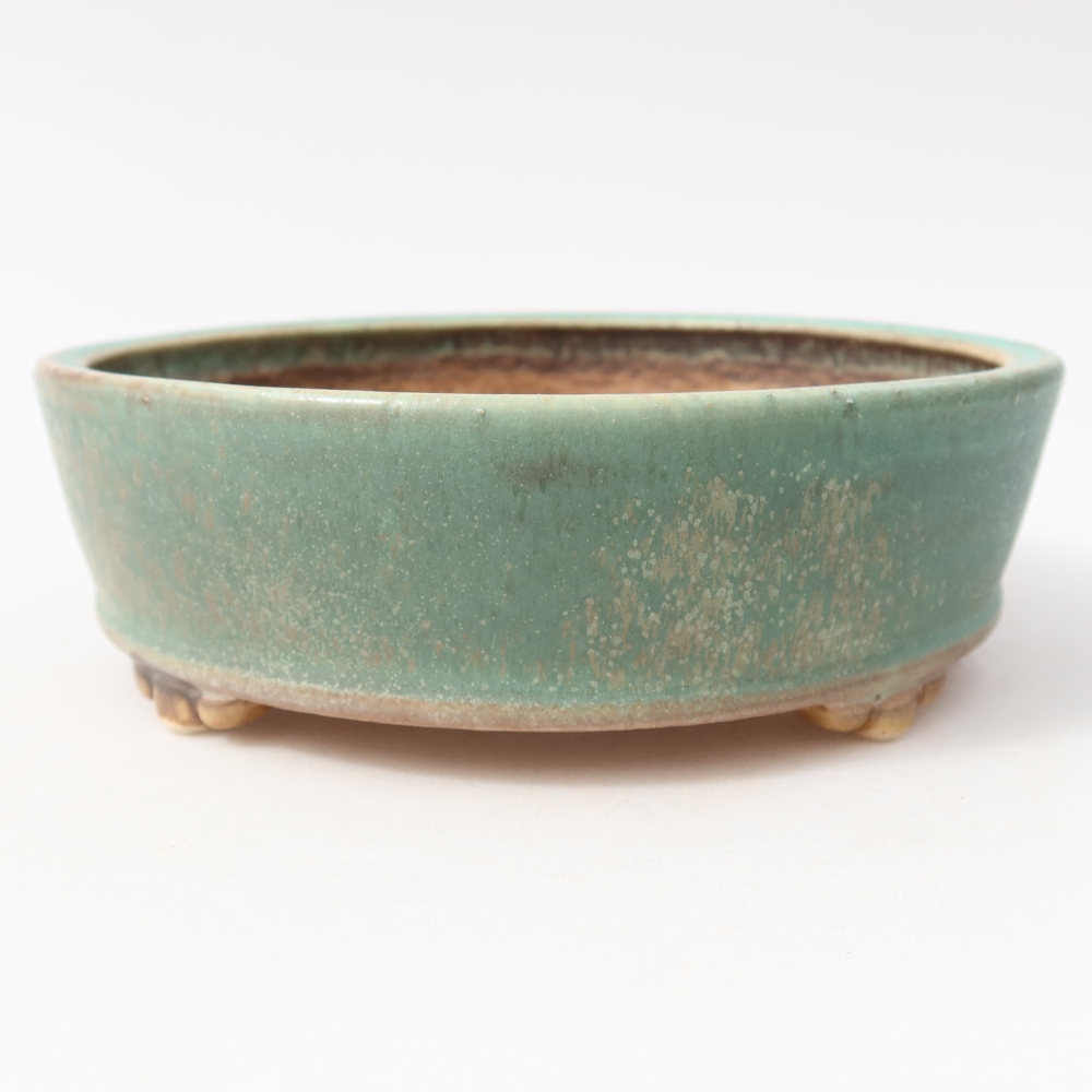 Ciotola per bonsai in ceramica 15,5 x 15,5 x 5 cm, verde