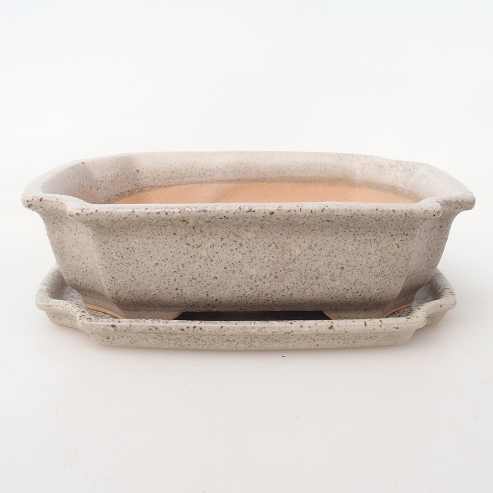 Ciotola bonsai + piattino H17 - 15 x 10 x 4 cm - beige