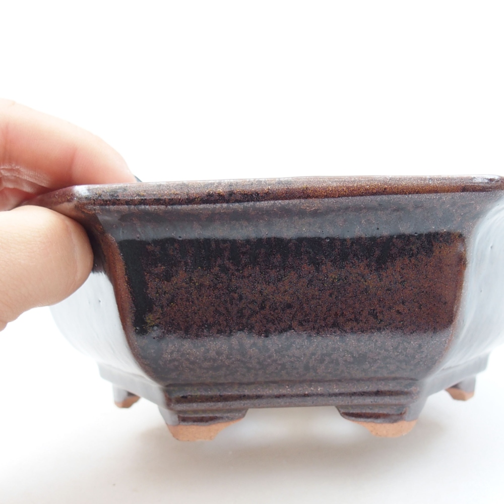 Ciotola bonsai in ceramica 22 x 17 x 5 cm, verde