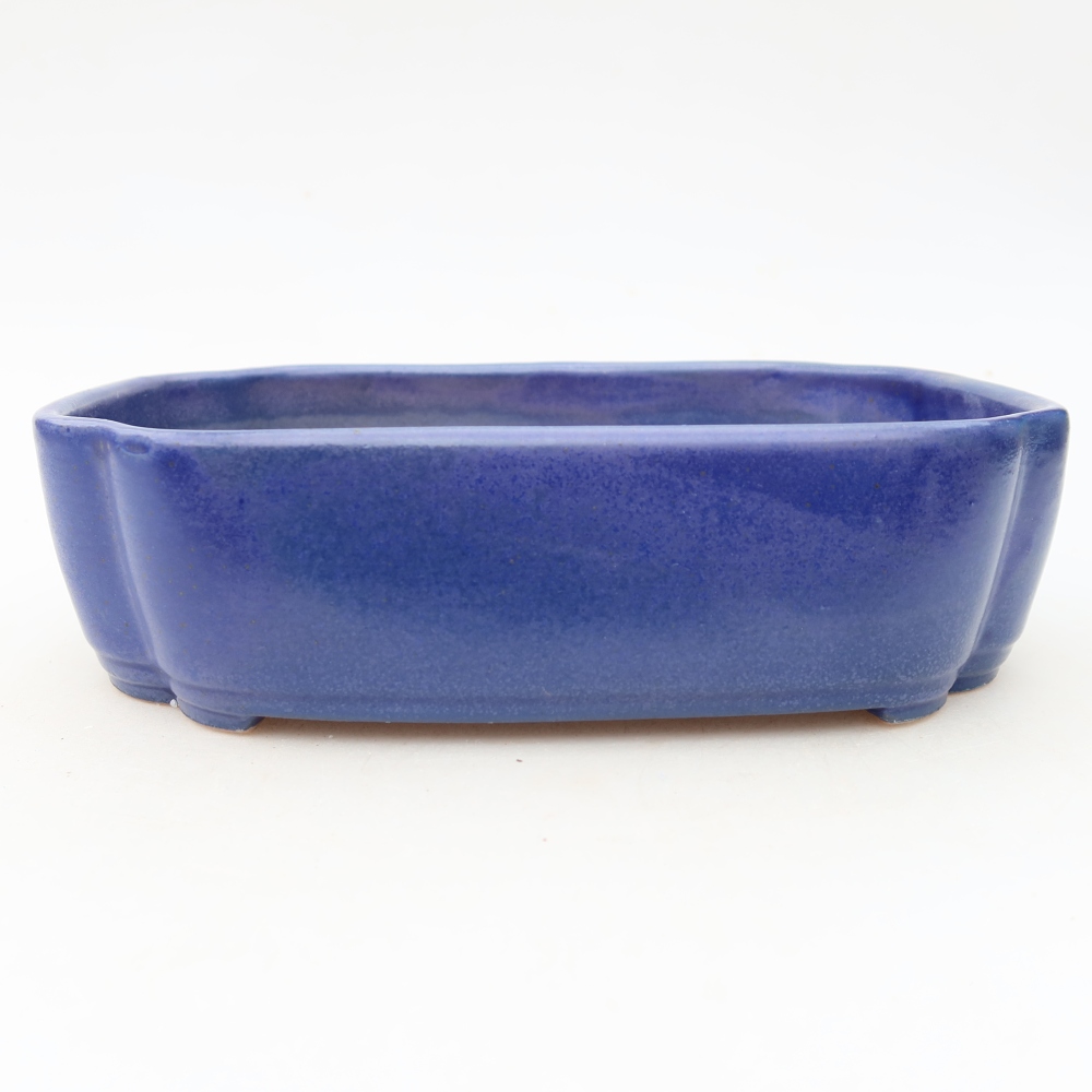 Vaso da bonsai in ceramica 18,5 x 13 x 5 cm, colore blu