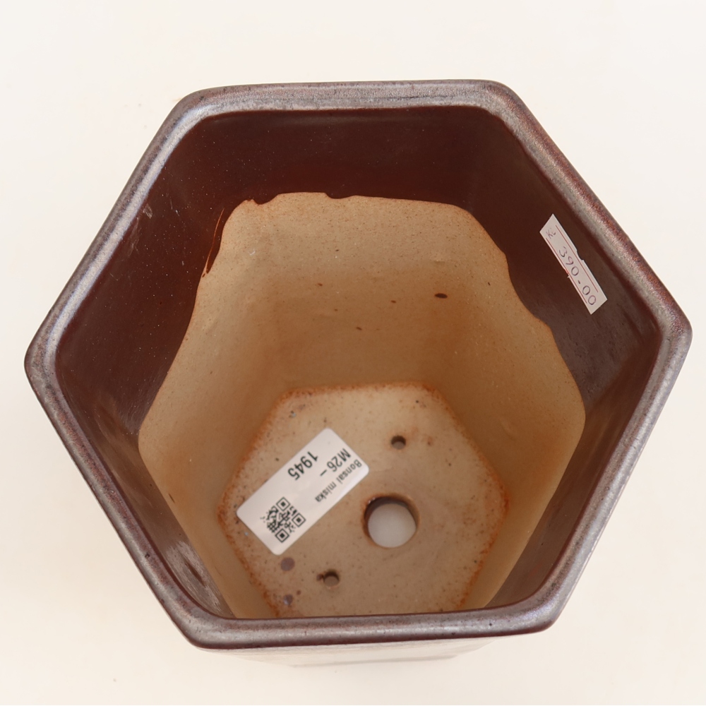 Vaso da bonsai in ceramica 13 x 12 x 17 cm, colore metallizzato