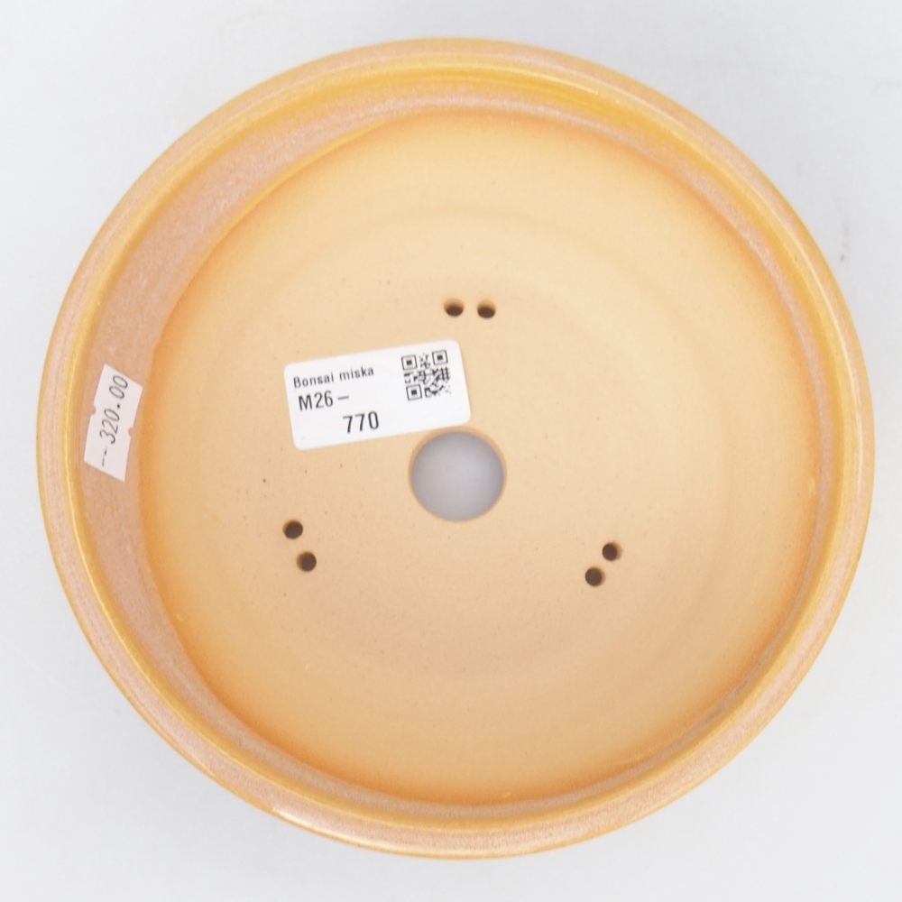 Ciotola per bonsai in ceramica 16 x 16 x 5,5 cm, colore marrone-giallo