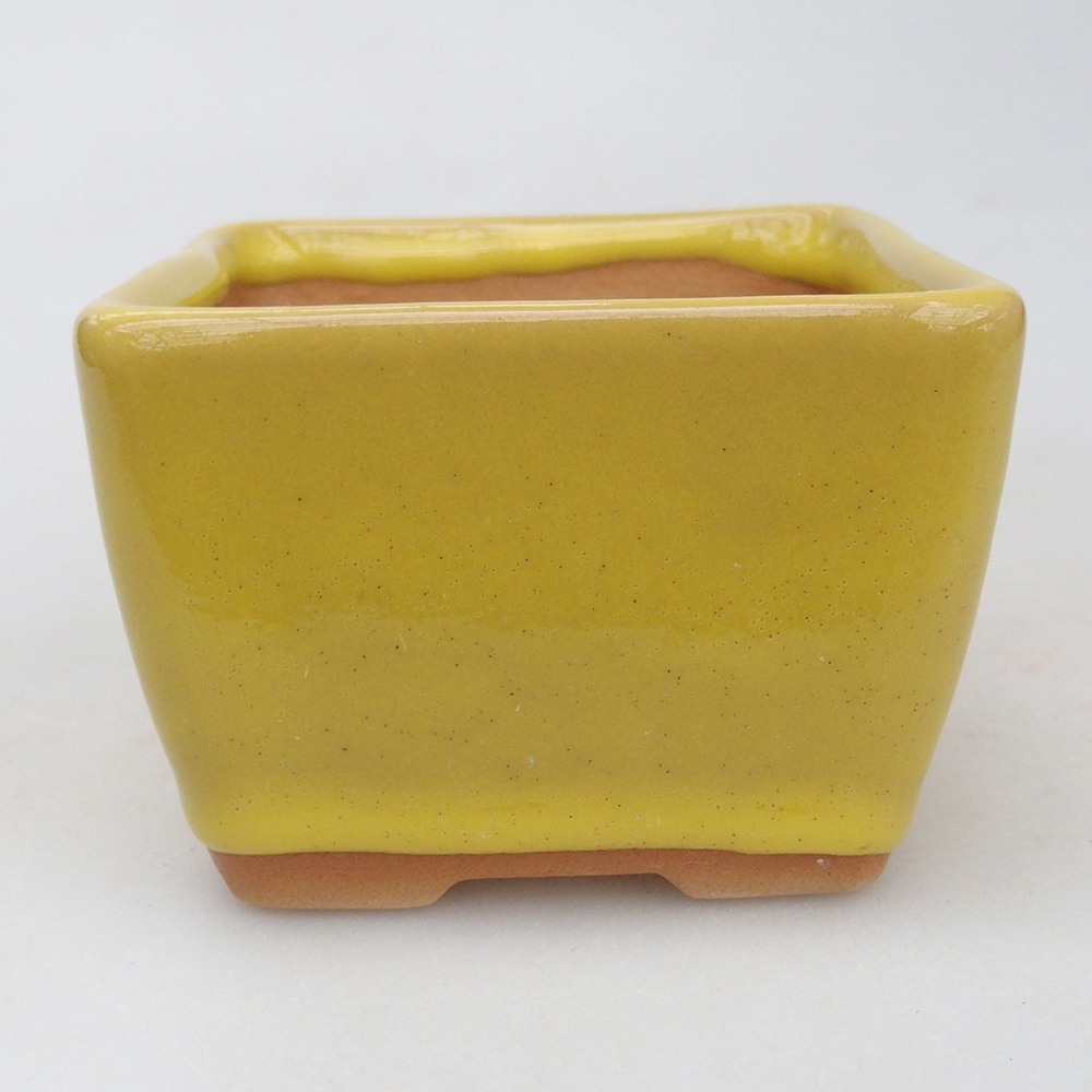 Ciotola bonsai in ceramica 8,5 x 8,5 x 6 cm, giallo