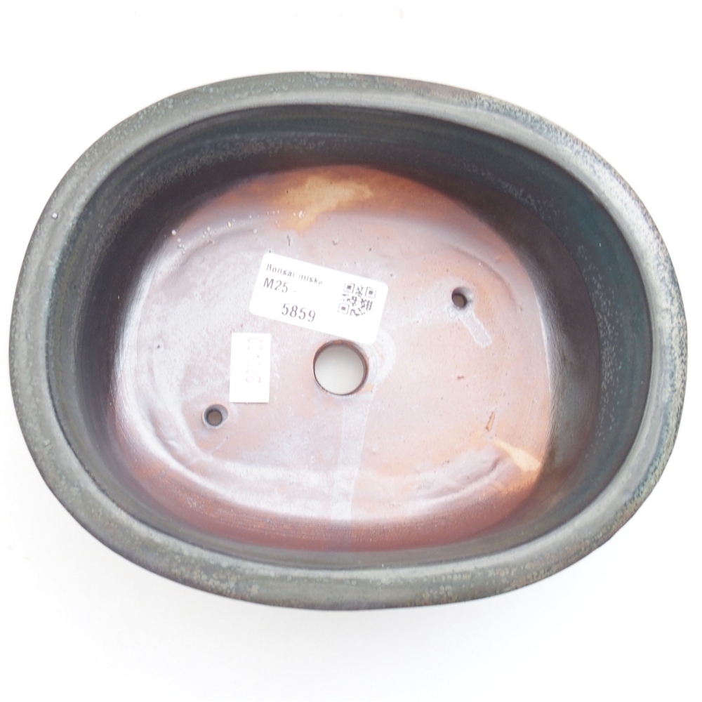 Ciotola bonsai in ceramica 22 x 17 x 5 cm, verde