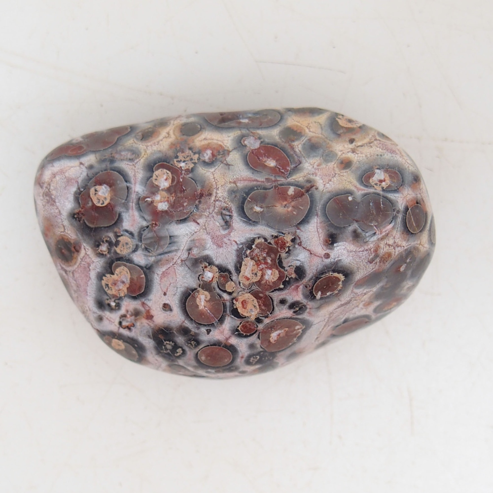 Suiseki - Pietra con DAI (base in legno)