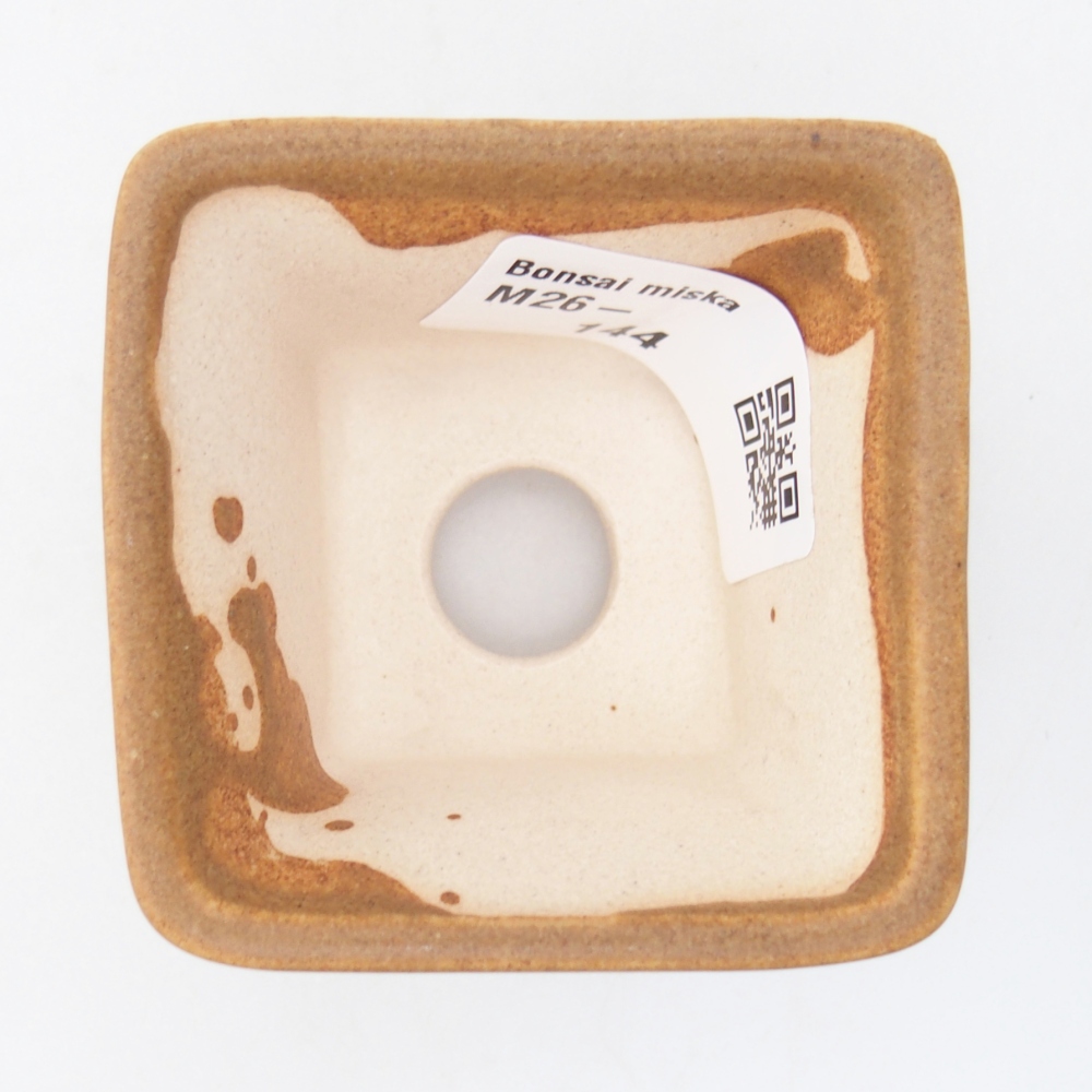Ciotola per mini bonsai 5,5 x 5,5 x 4 cm, marrone