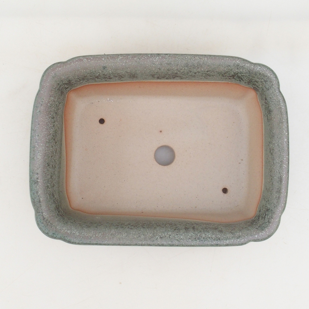 Ciotola per bonsai H50 - 17 x 12,5 x 5,5 cm. - verde