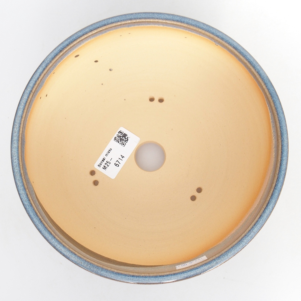 Ciotola bonsai in ceramica 19 x 19 x 7 cm, colore blu