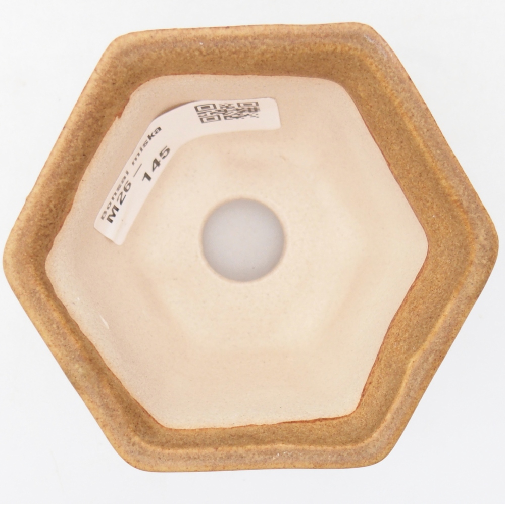 Ciotola per mini bonsai 7,5 x 6,5 x 5 cm, marrone