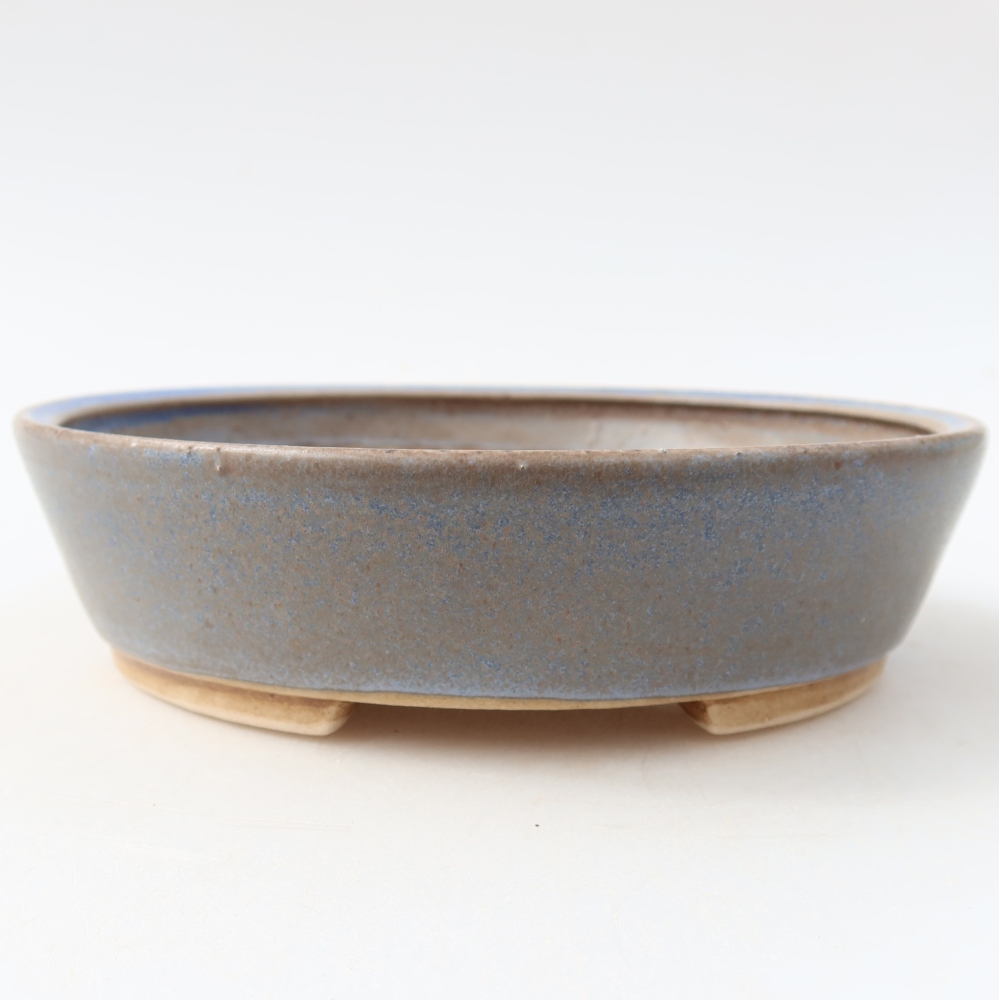Vaso da bonsai in ceramica 15 x 14 x 4 cm, colore blu