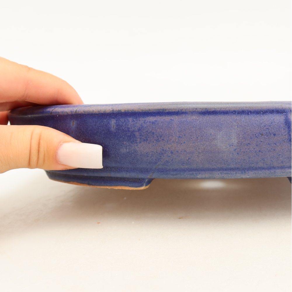 Ciotola bonsai in ceramica 24,5 x 20 x 4 cm, colore blu