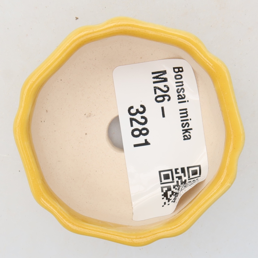Vaso in ceramica per bonsai 5 x 5 x 2,5 cm, colore giallo