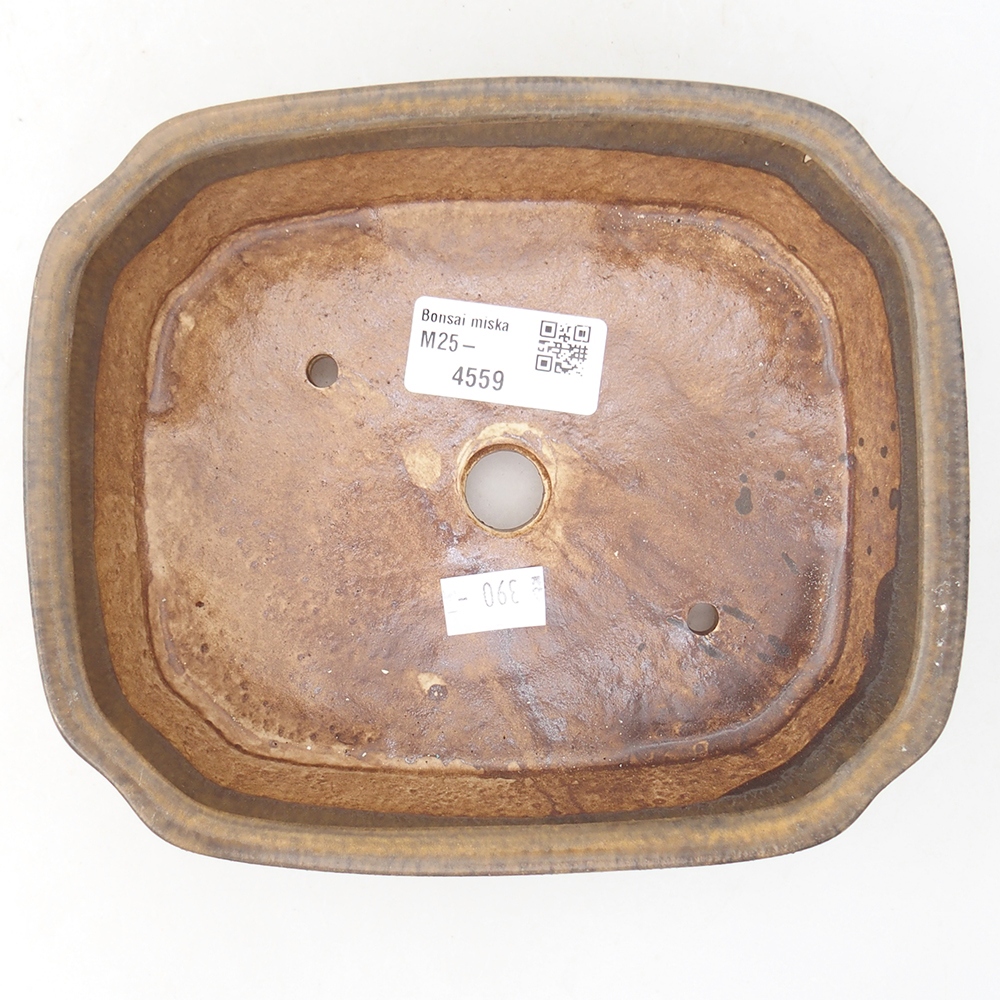 Ciotola per bonsai in ceramica 17 x 14,5 x 5 cm, marrone