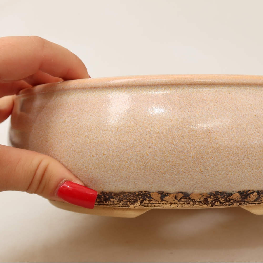 Vaso da bonsai in ceramica 23 x 23 x 7 cm, colore beige