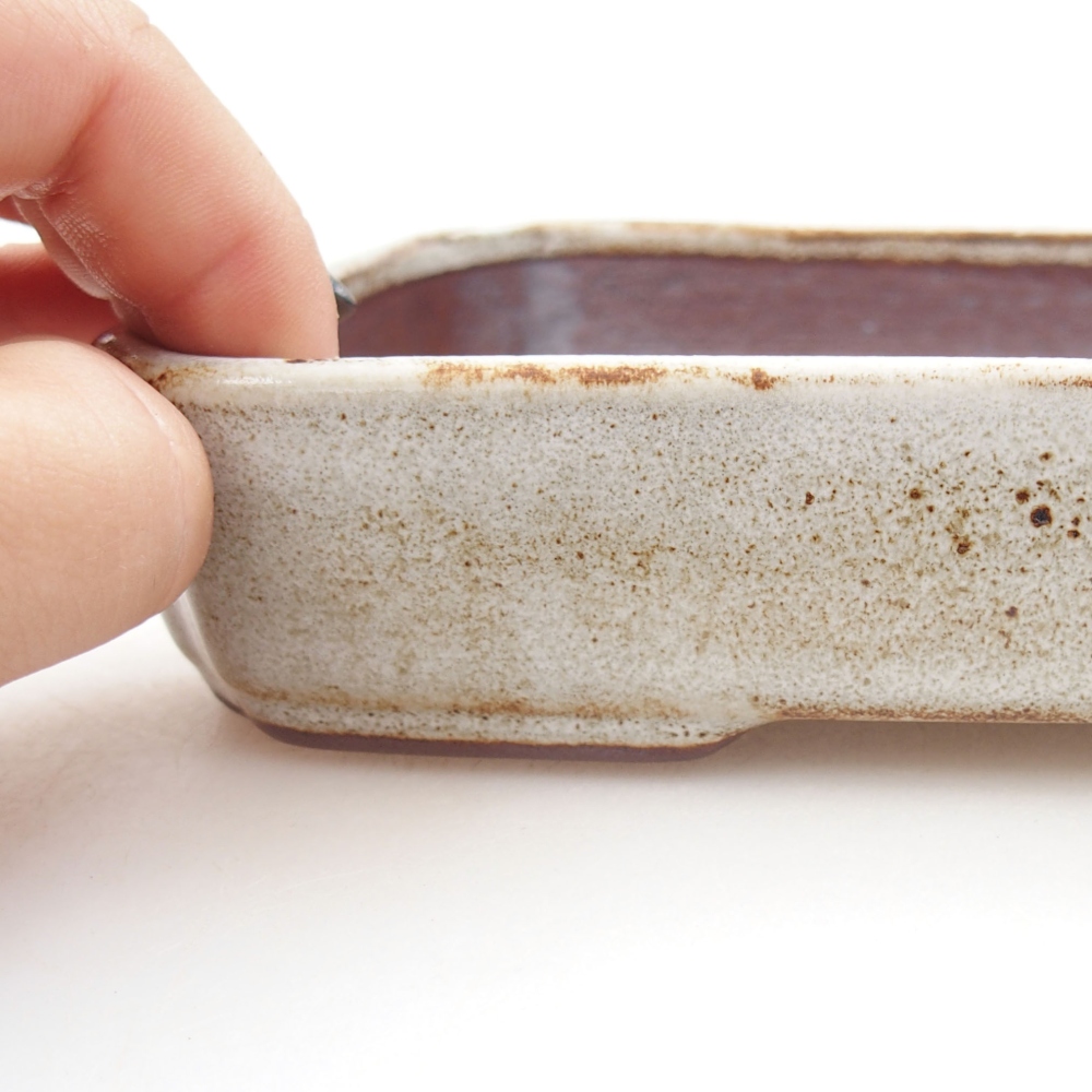 Ciotola bonsai in ceramica 22 x 17 x 5 cm, verde