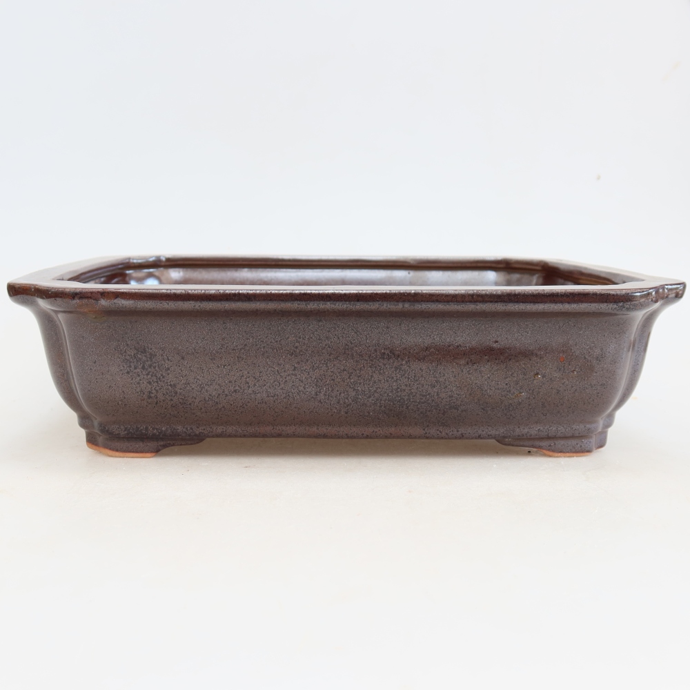 Vaso da bonsai in ceramica 27,5 x 21,5 x 7 cm, colore bordeaux