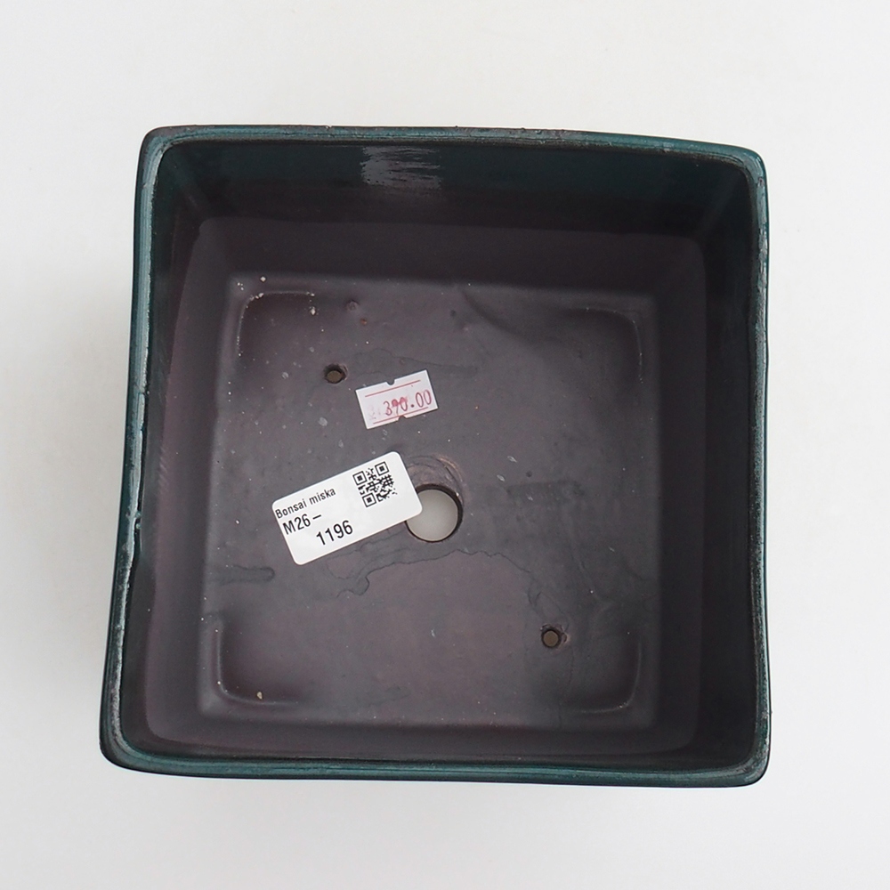 Ciotola per bonsai in ceramica 15 x 15 x 10,5 cm, verde