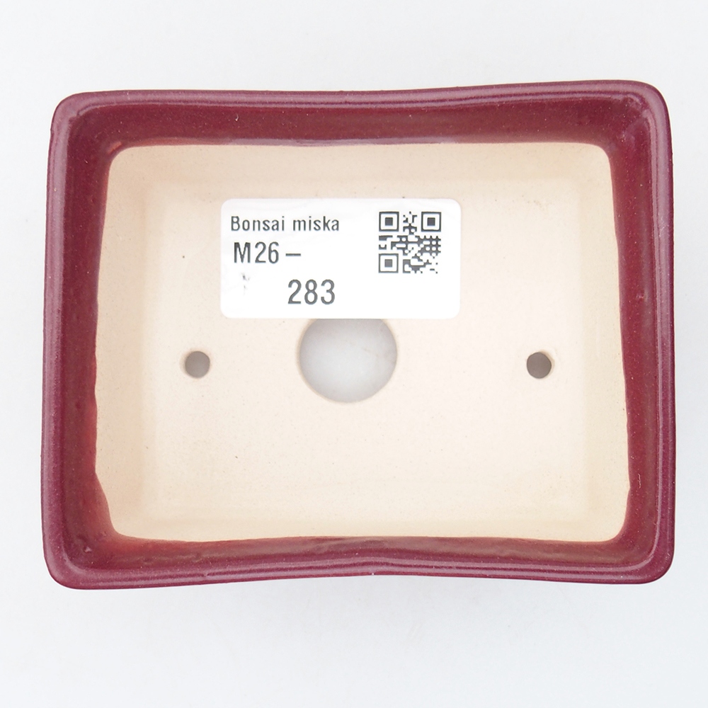 Ciotola per mini bonsai 9 x 7 x 4 cm, bordeaux