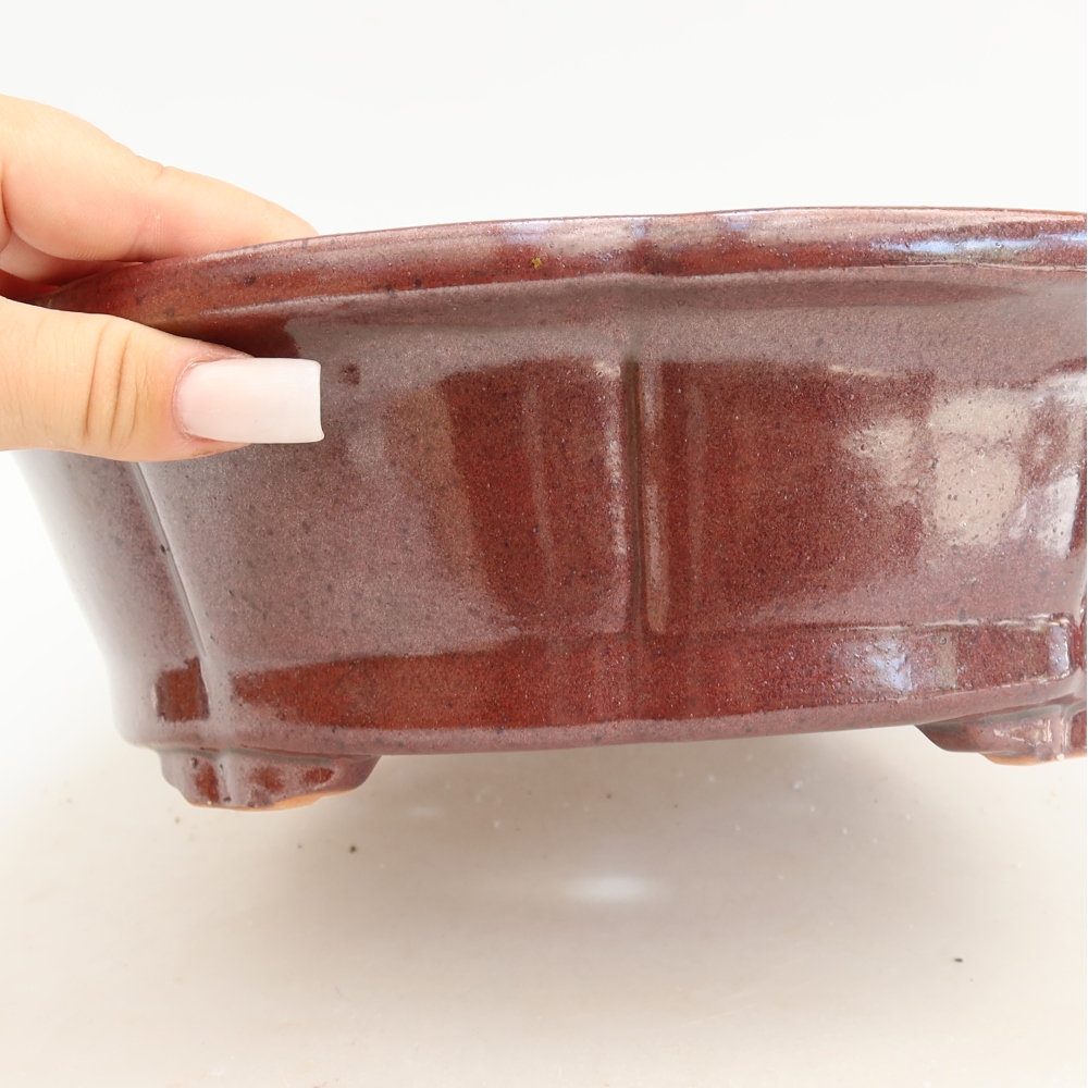 Ciotola bonsai in ceramica 26 x 26 x 8 cm, bordeaux