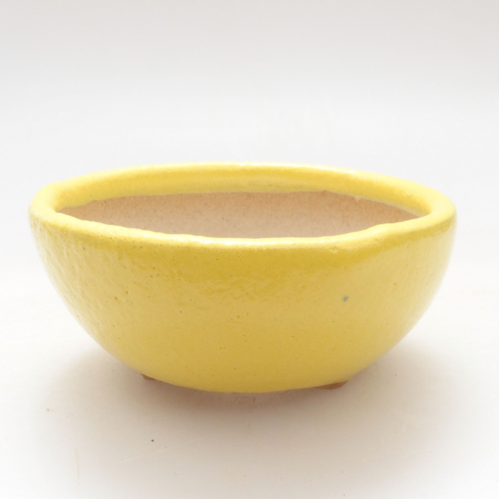 Ciotola per bonsai in ceramica 6 x 6 x 2,5 cm, giallo