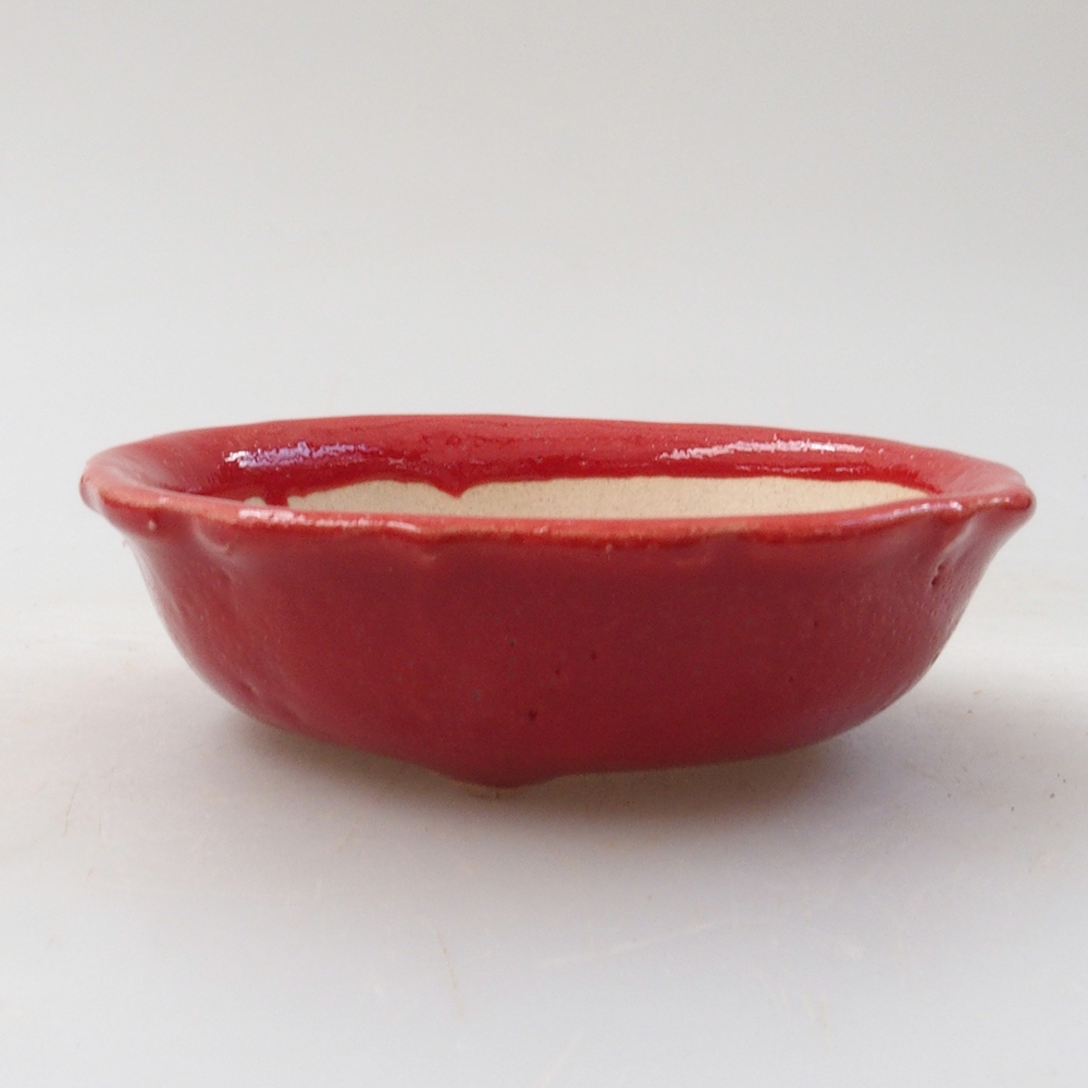 Mini bonsai 7 x 7 x 2 cm, colore rosso