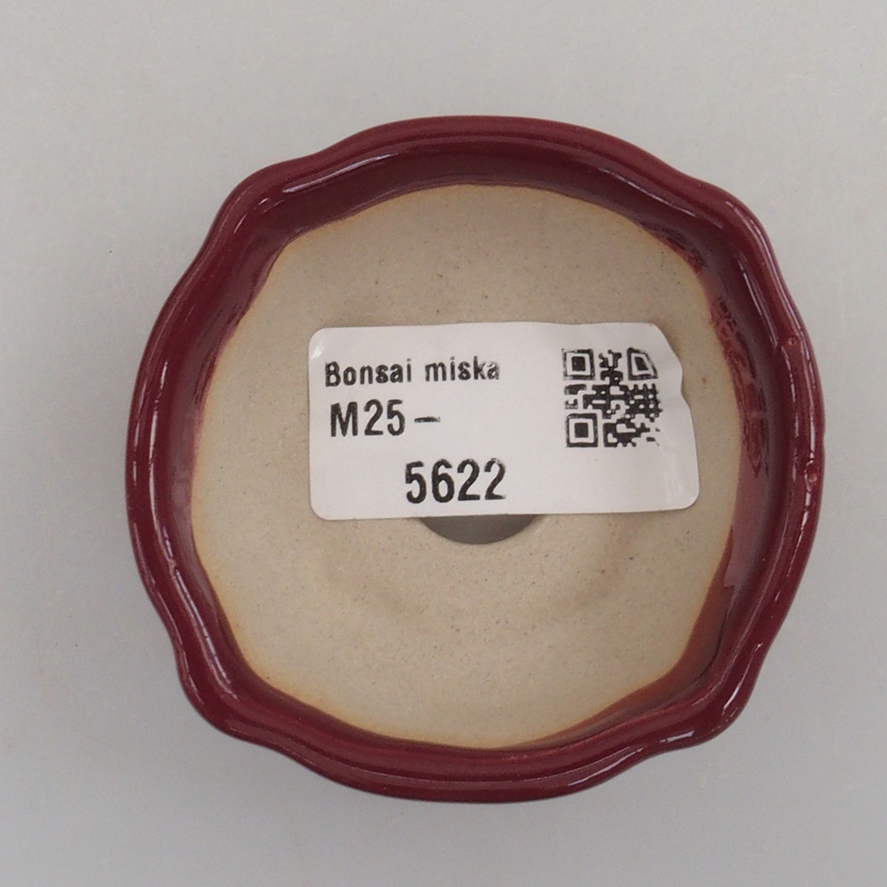 Mini bonsai 6 x 6 x 2,5 cm, bordeaux