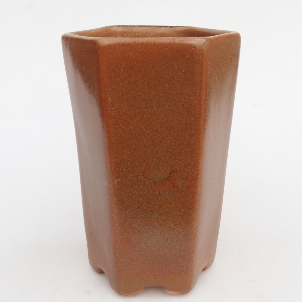 Ciotola per bonsai in ceramica 10 x 8,5 x 14,5 cm, marrone