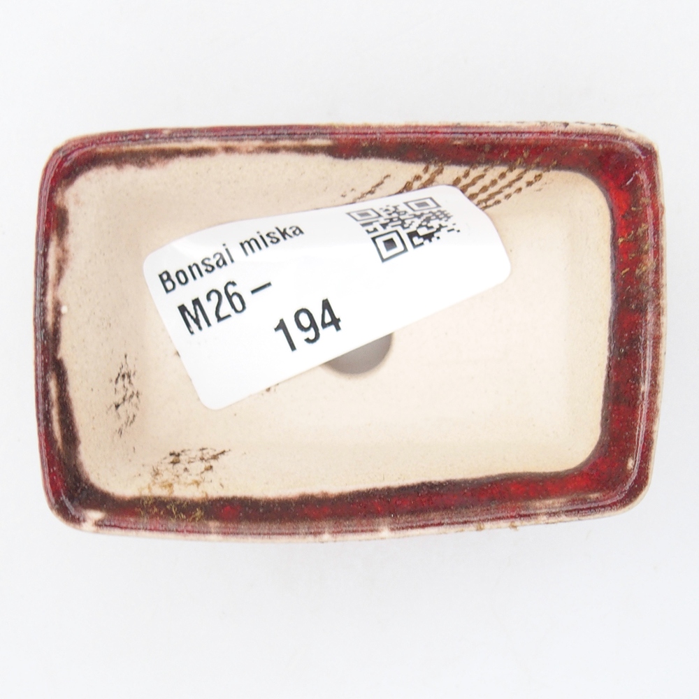 Mini bonsai 6,5 x 4,5 x 2,5 cm, arancio