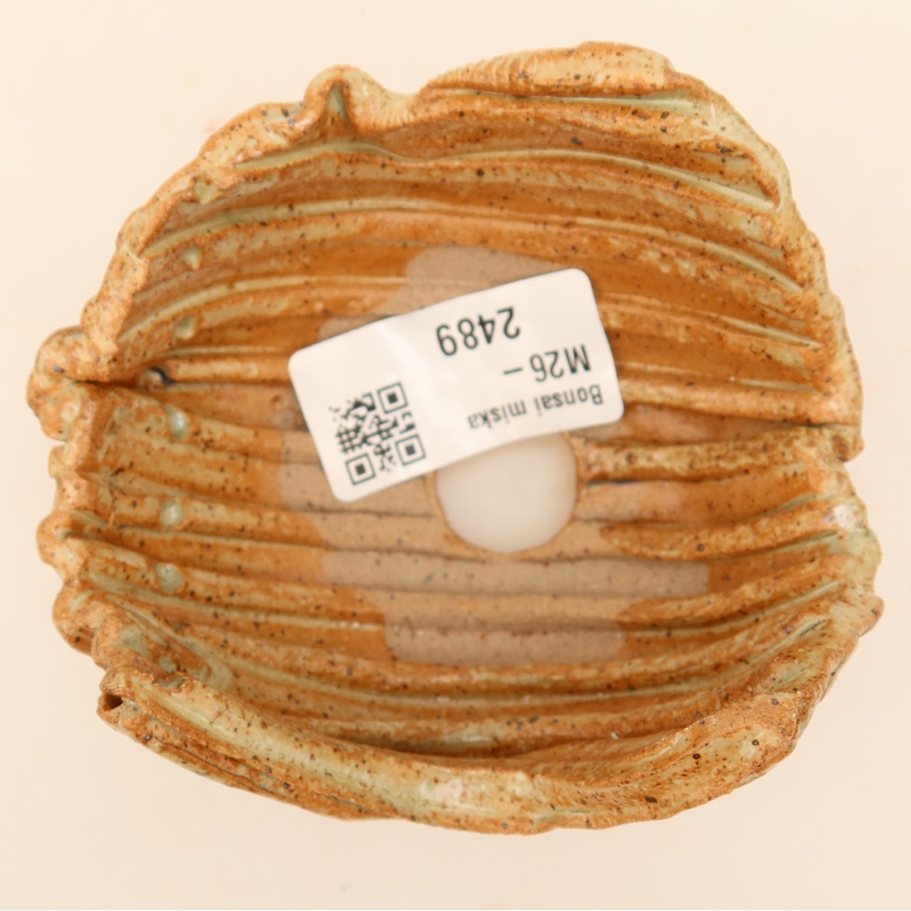Conchiglia in ceramica 9 x 8,5 x 5,5 cm , colore beige