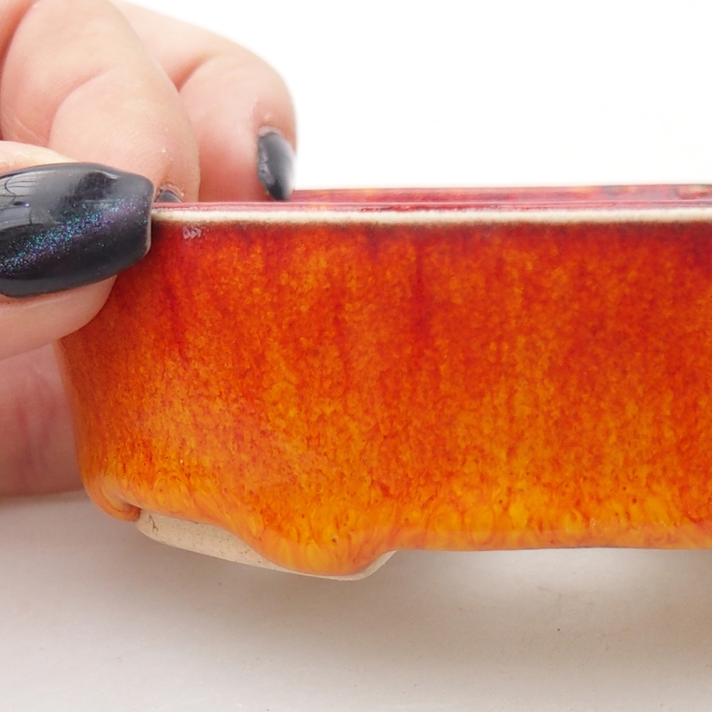 Mini bonsai 9,5 x 8,5 x 3 cm, arancione