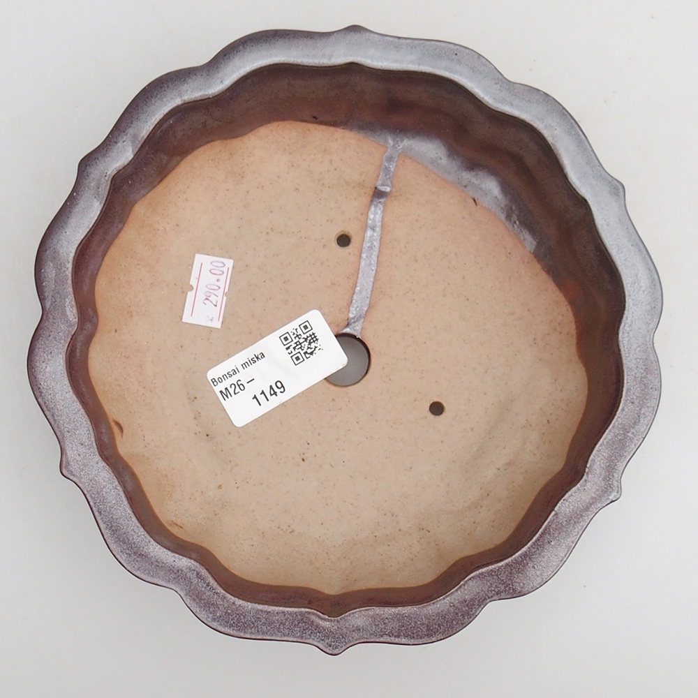 Ciotola per bonsai in ceramica 18 x 18 x 4,5 cm, marrone