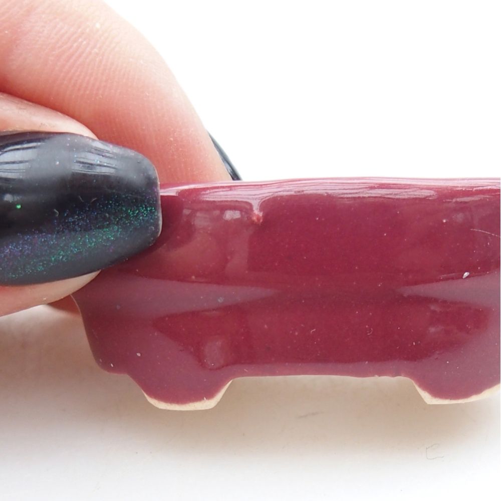 Ciotola per mini bonsai 4 x 2,5 x 2 cm, bordeaux