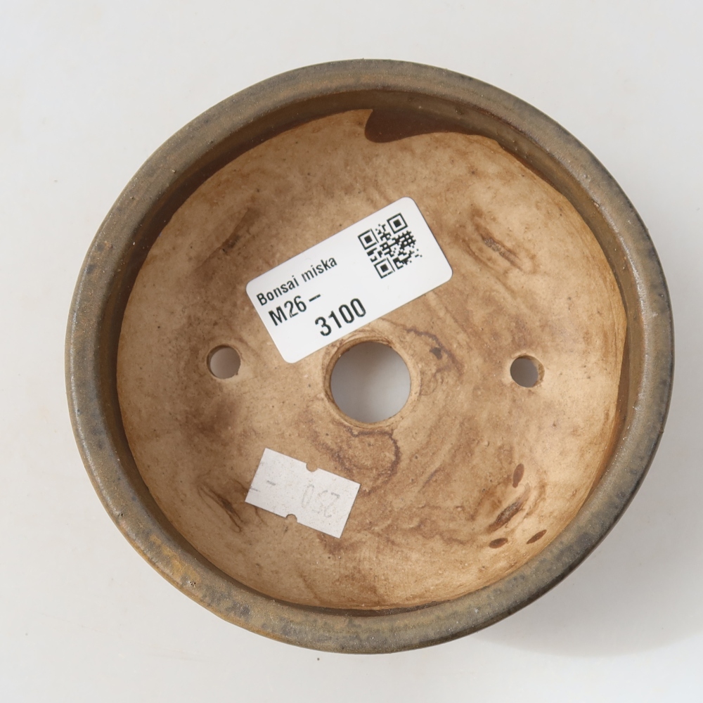 Ciotola per bonsai in ceramica 10,5 x 10,5 x 4 cm, marrone