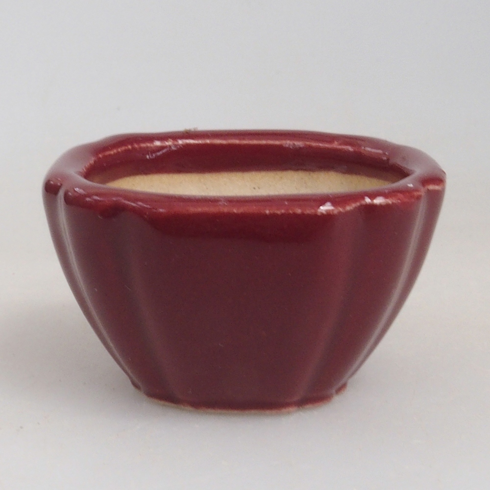 Ciotola per mini bonsai 4,5 x 4,5 x 2,5 cm, bordeaux