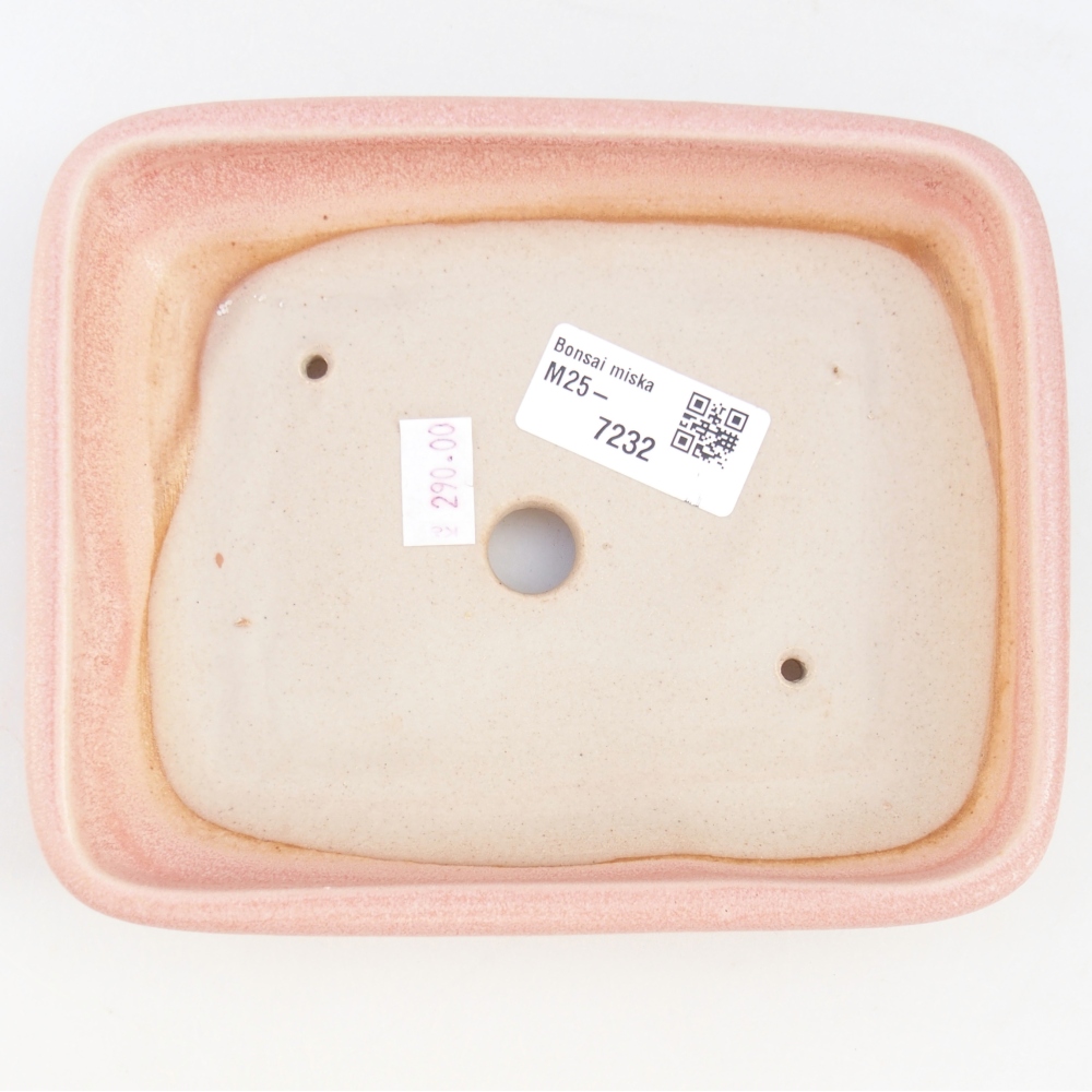 Ciotola bonsai in ceramica 26 x 26 x 8 cm, colore rosso