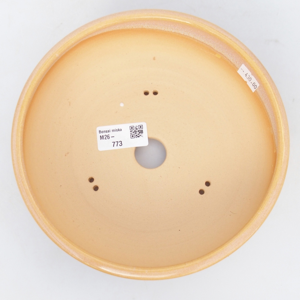 Ciotola per bonsai in ceramica 19,5 x 19,5 x 6 cm, colore marrone-giallo