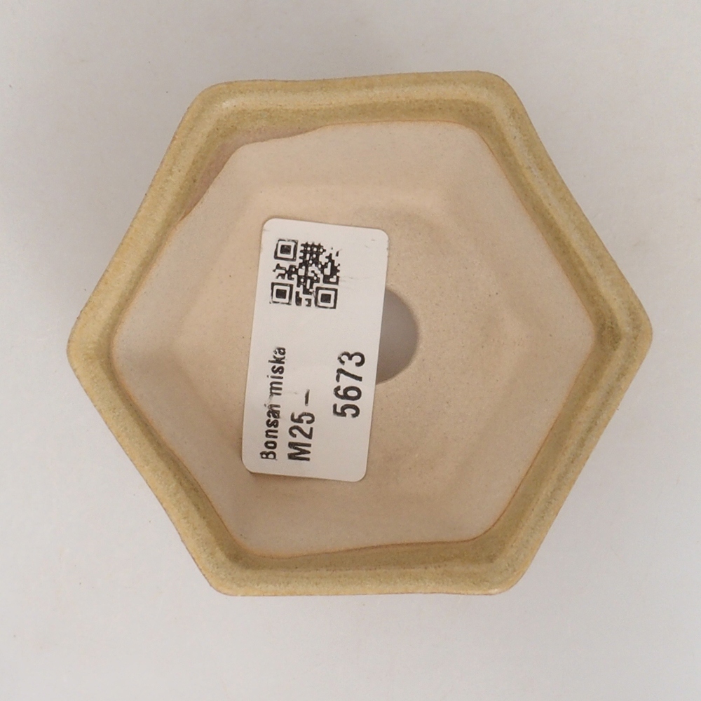 Ciotola per mini bonsai 8 x 7 x 4 cm, marrone