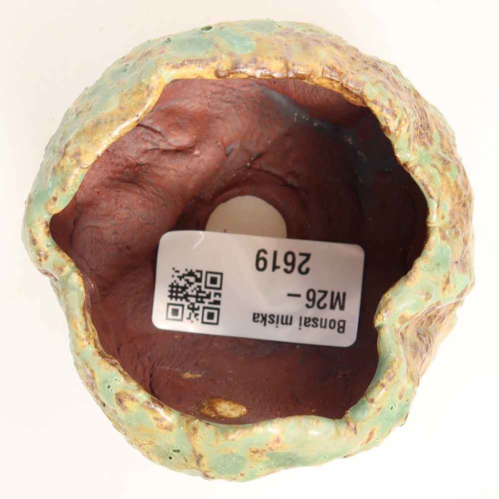 Guscio in ceramica  7 x 7 x 6 cm, colore verde
